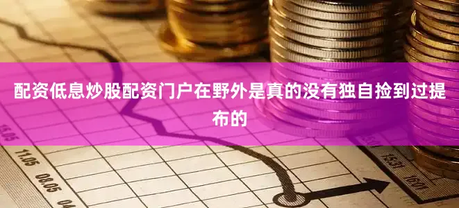 配资低息炒股配资门户在野外是真的没有独自捡到过提布的