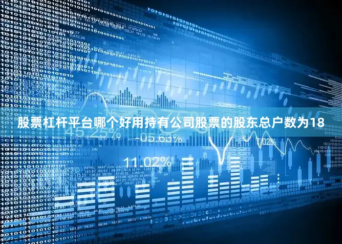 股票杠杆平台哪个好用持有公司股票的股东总户数为18