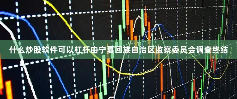 什么炒股软件可以杠杆由宁夏回族自治区监察委员会调查终结